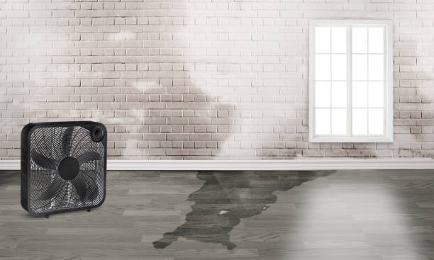 Best 24-hour water damage restoration  in Sulphur, OK