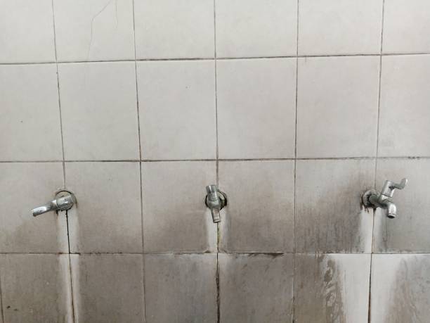 Best Professional water damage repair  in Sulphur, OK