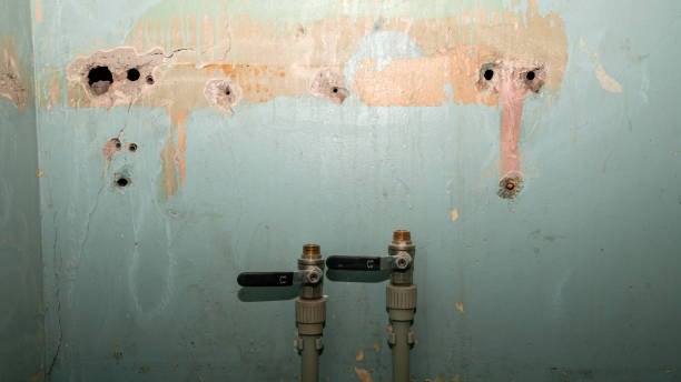 Best Local water damage restoration  in Sulphur, OK