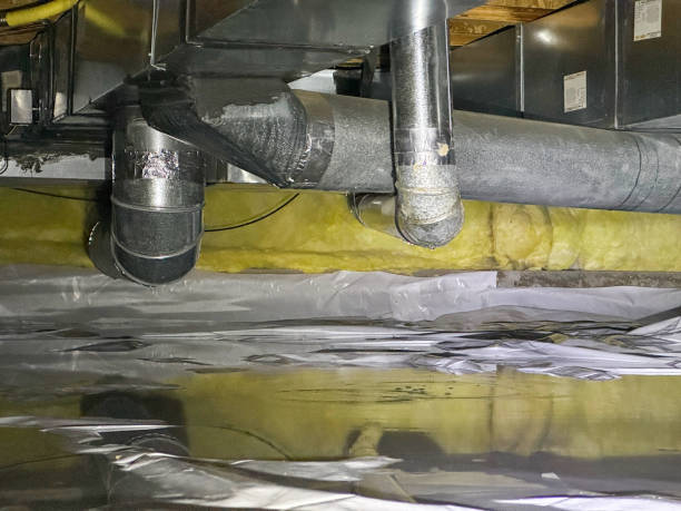 Best Mold removal after water damage  in Sulphur, OK